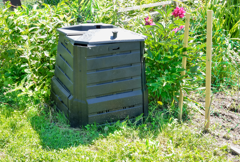 Supportive Clutter Removal and Hoarder Cleanup for Lasting Peace of Mind
